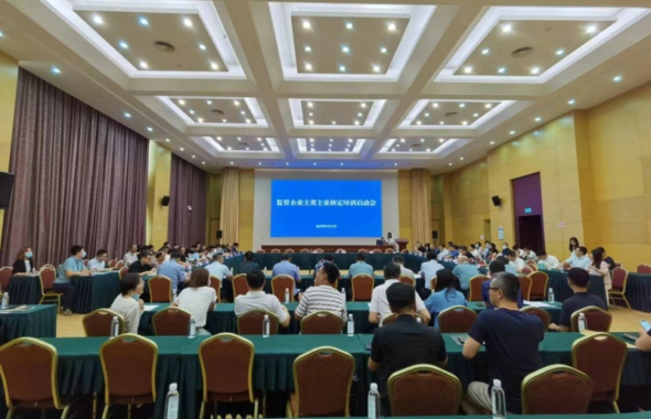 天咨集團積極服務(wù)市國資委 助力“國企聚焦主責(zé)主業(yè)”相關(guān)工作