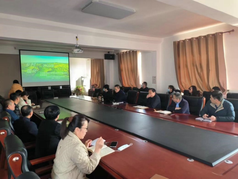 1678957329568725.jpg 01.jpg