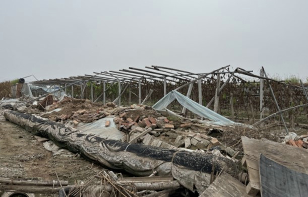 1699428134346832.jpg 03.jpg